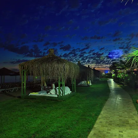 Selectum Family Comfort Side 5*