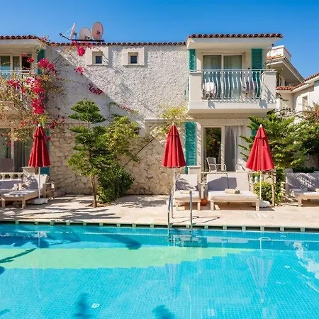 Selectum Family Comfort Side 5*