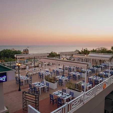 Selectum Family Comfort Side 奇泽拉加克